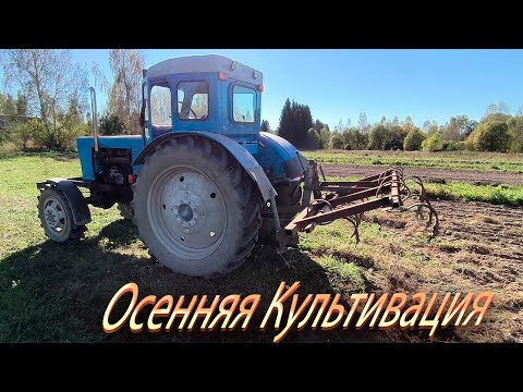 Видео: Культивация Пустыни))