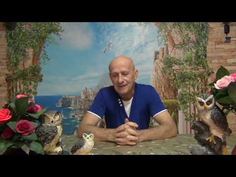 Видео: История, рассказанная Гномами