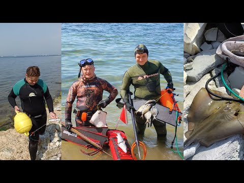 Видео: Скат шипа-хвост и зубарики на подводной охоте в Чёрном море. 