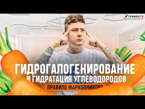 Видео: Углеводородный интенсив | Веб 2: Гидратация и гидрогалогенирование углеводородов | ТурбоЕГЭ