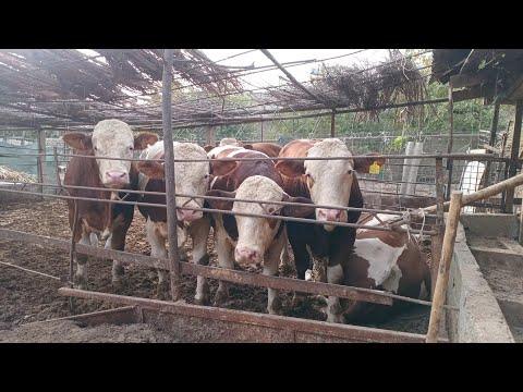 Видео: 23 сентября 2025 г.