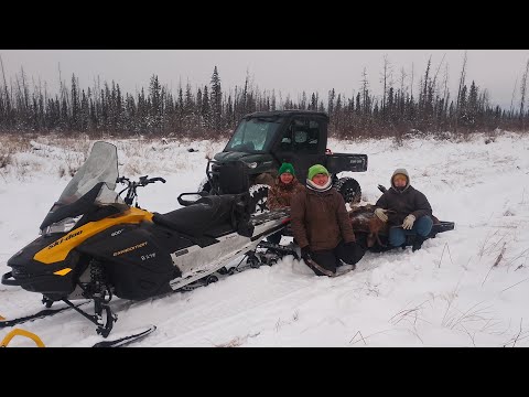 Видео: Охота на Лося, северная Альберта, Канада