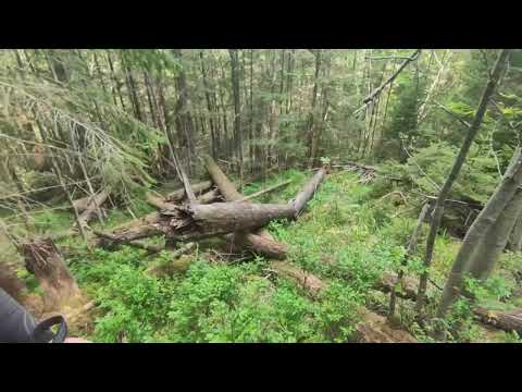 Видео: Історія про вихід в Румунію що зайняв 15 днів. Останні дні червня.