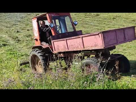 Видео: Т-16. Легендарный советский трактор попрошайка в деле. Сезон сенокоса!