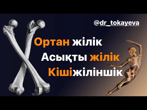Видео: Ортан жілік|Асықты жілік|Кішіжіліншік|Тобық|Аяқтың еркін орналасқан сүйектері |