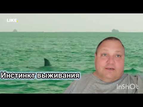 Видео: ИНСТИНКТ ВЫЖИВАНИЯ