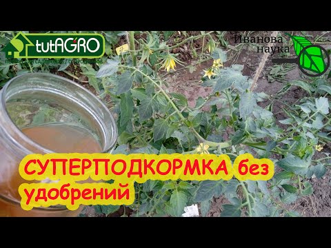Видео: ВСЕ РАСТЕНИЯ ЛЮБЯТ ЭТО! ПОДКОРМИТЕ РАСТЕНИЯ... УКСУСОМ! Все правила УКСУСНОЙ ПОДКОРМКИ.