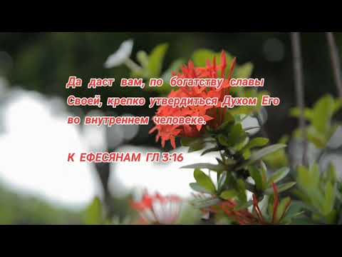 Видео: Библия / Новый Завет - Послание К Ефесянам Святого Апостола Павла ГЛ 3:16