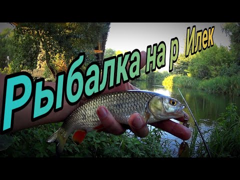Видео: Не зря пришёл на это место  Такая рыбалка мне нравится  Ловля на донки  р Илек г  Актобе 2022г