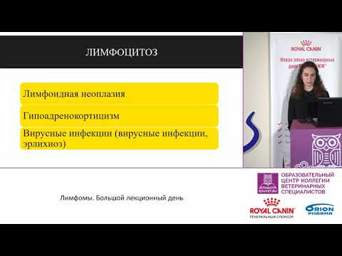 Видео: Соколова Е. А. - Изменение показателей общего анализа крови и их интерпретация