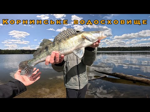 Видео: Нарешті перший судак! – Рибалка на Корнинському водосховищі