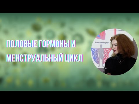 Видео: Эндокринная система и менструальный цикл (часть 2, запись 17 июня) | Анастасия Борисец