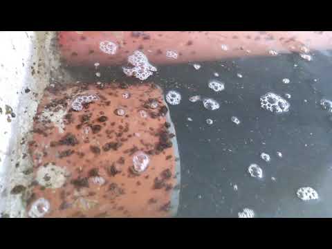 Видео: Работа моего сетчатого фильтра узв