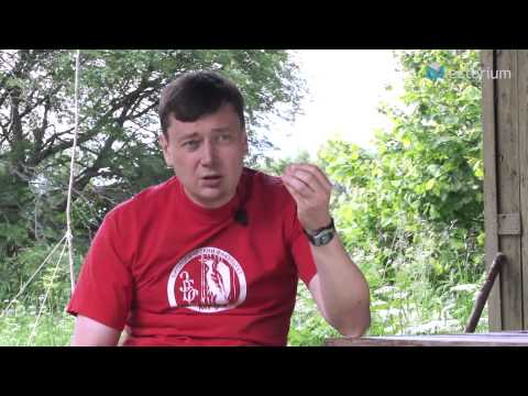 Видео: Могут ли птицы «видеть» магнитное поле Земли? В. Гаврилов, биофак МГУ им. М. В. Ломоносова