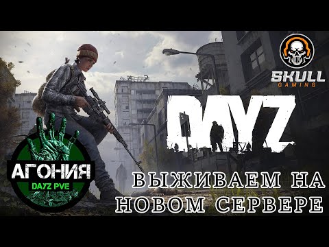 Видео: DayZ АГОНИЯ PVE 1 будни сервер. Играю в КООПе с другом Саней. STREAM!!! #SCUM#DayZ