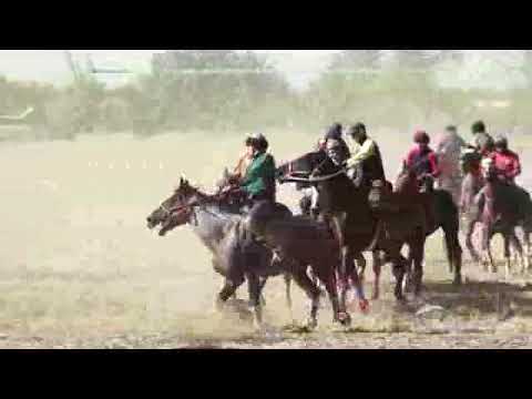 Видео: Ас Көкпары Шохай ауылында.Тараз