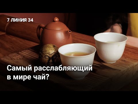 Видео: Чай Дань Цун и его эффект за 10 минут