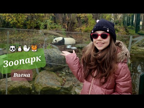 Видео: ЗООПАРК ВИЕНА 🐼🐨- какви животни видяхме
