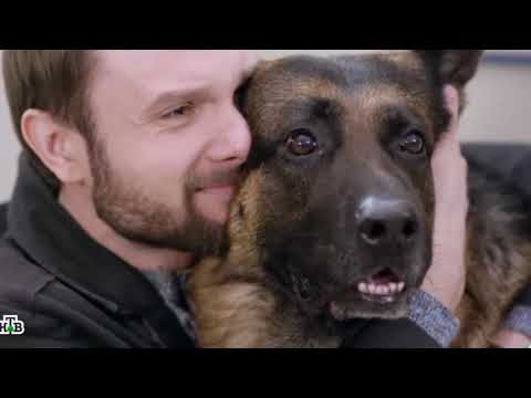 Видео: Максим и Мухтар