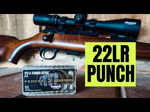 Видео: 22LR Federal PUNCH из винтовок...