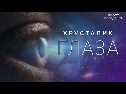 Видео: Хрусталики глаз. #Глаза  #Весталия #школаСорадение