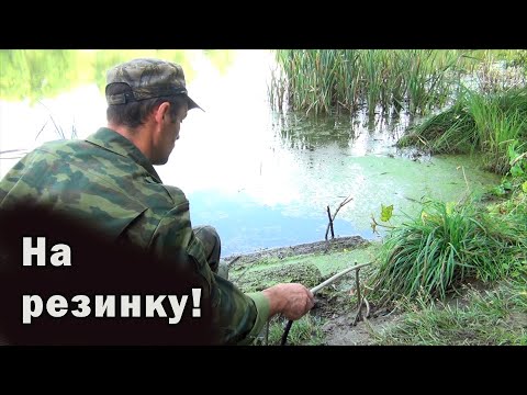 Видео: Эта простейшая наживка сработала впервые! Рыбалка на карася для сковородки на резинку.