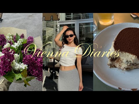 Видео: венские будни: новые места, музеи, ивенты и прогулки 🍸🫒🌼 #вена #влог #венскийвлог #австрия
