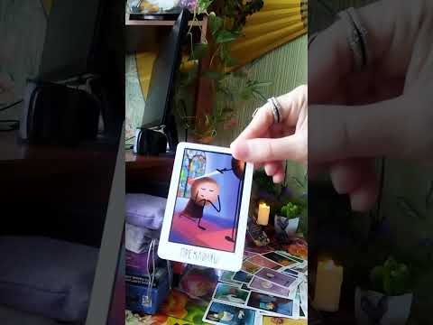 Видео: Сплетни о Вас) Мнение мужчин и женщин 🧔👱🏻‍♀️😛