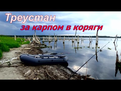 Видео: КАРП на ДОНКУ прямо среди коряг озеро ТРЕУСТАН