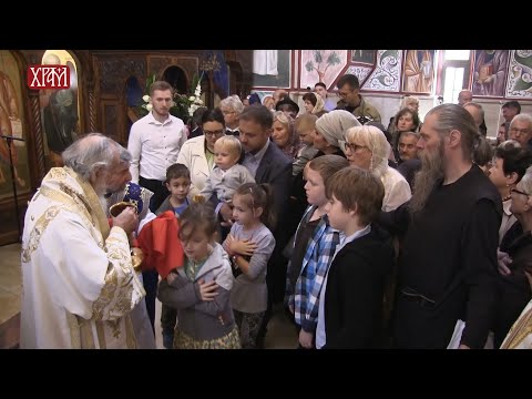 Видео: Духовник - Како се припремити за Свето Причешће?