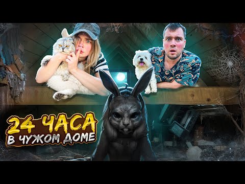 Видео: 24 ЧАСА В ЧУЖОМ ДОМЕ С КОТАМИ | TINY BUNNY ВЕРНУЛСЯ