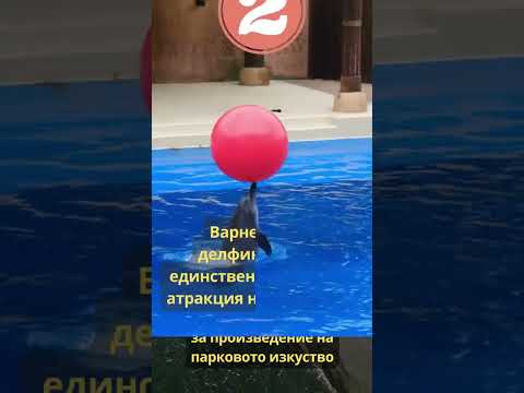 Видео: Варна - Бързи факти - епизод 5  #shorts