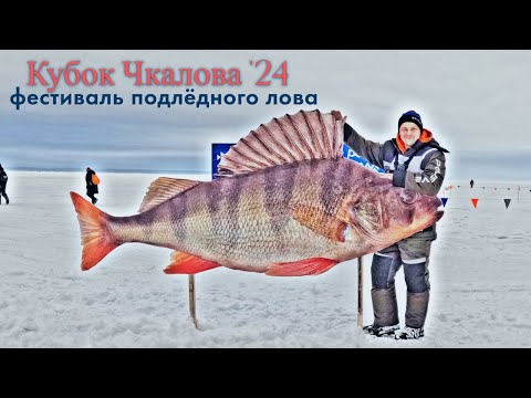 Видео: Горе-море. Поехали с коллегами по работе на соревнования по подлёдной ловле.