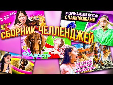 Видео: СБОРНИК ЧАПИТОСНЫХ ЧЕЛЛЕНДЖЕЙ