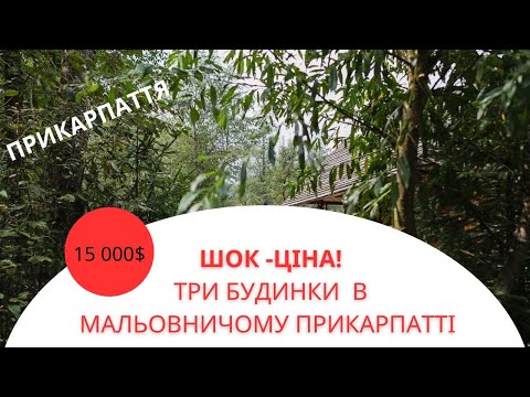 Видео: Ціна неймовірна! Будинок в мальовничому місці Прикарпаття!