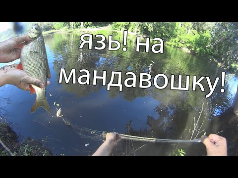 Видео: Рыбалка на сети мандавошки! Лодка не нужна! Ловля язя и подлещика!  Fishing on the net!