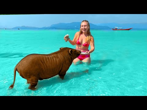 Видео: Остров Самуи: Лучшие пляжи для отдыха. Таиланд 2025