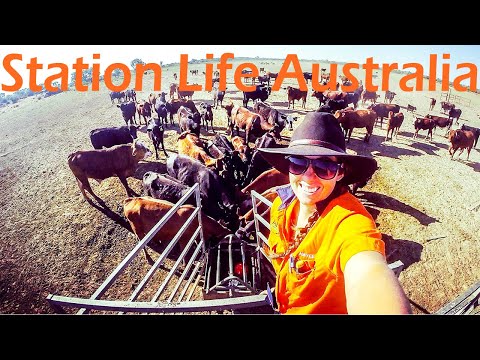 Видео: Жизнь на станции, эпизод 26