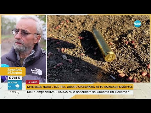 Видео: Застреляха куче в Русенско, докато стопанката му го разхожда