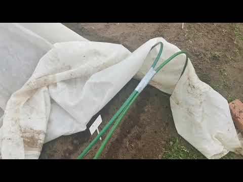 Видео: Правильная Установка Дуг на гряде для лучшего Натяжения плёнки Спанбонда Лутрасила чтобы не провисал