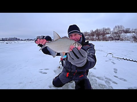 Видео: Нашёл рыбу в городе. Зимняя рыбалка на ОКЕ январь 2021.