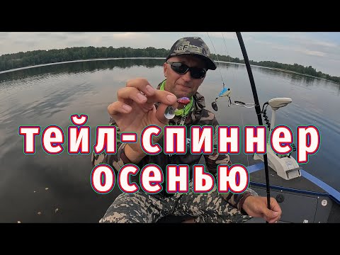 Видео: Как ПОЙМАТЬ на Тейл-спиннер Осенью! Лучшие 2 проводки!
