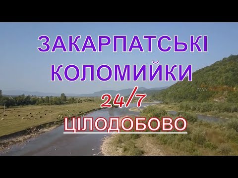 Видео: #прямийефір Файні Закарпатські коломийки для хорошого настрою онлайн 24/7