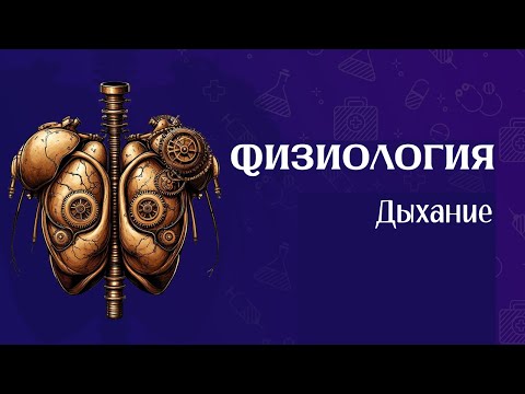 Видео: Физиология дыхания