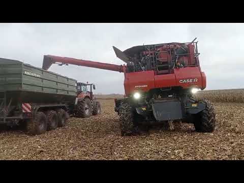 Видео: комбайн CASE 7260 5листопада2025 ЛиповаДолина_вивантаження