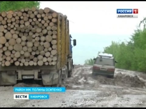 Видео: Вести-Хабаровск. Разбитая дорога в село им. Полины Осипенко