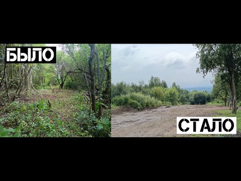 Видео: Как изменился участок этим летом.