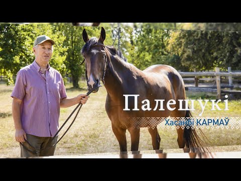 Видео: Фермер Хасанби Кармов о деревне Пески-1 и конном клубе