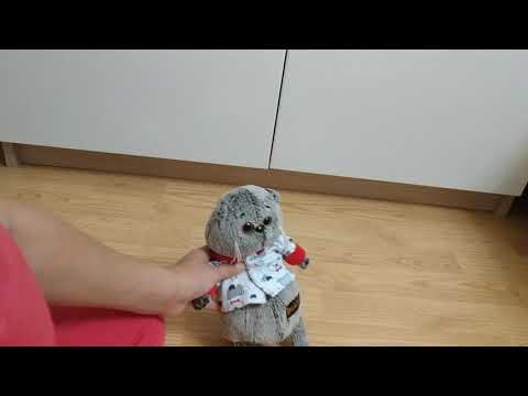 Видео: Школа Басиков урок физкультуры и математики!2 часть