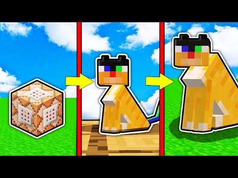 Видео: КАК МЕНЯЛСЯ КОМАНДНЫЙ КОТ ОЦЕЛОТ МОБ И ЕГО ЖИЗНЕННЫЙ ЦИКЛ В МАЙНКРАФТ 100% ТРОЛЛИНГ ЭВОЛЮЦИЯ